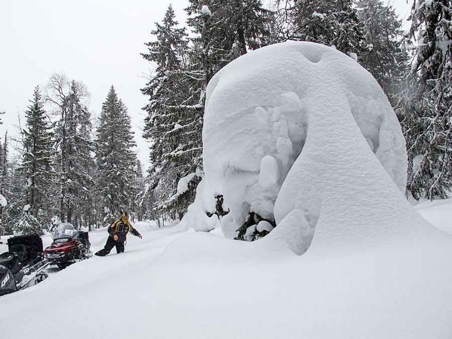 Tree snowball found during snowmobile adventure in Russia Ural Mountrains