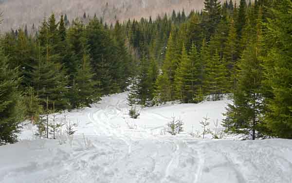 Stay on the Snowmobile Trails