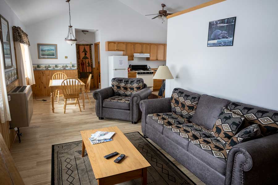 Gate Creek Cabins livingroom Petersville Alaska